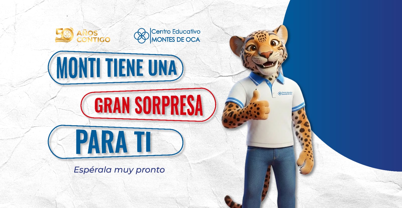 Actualizar