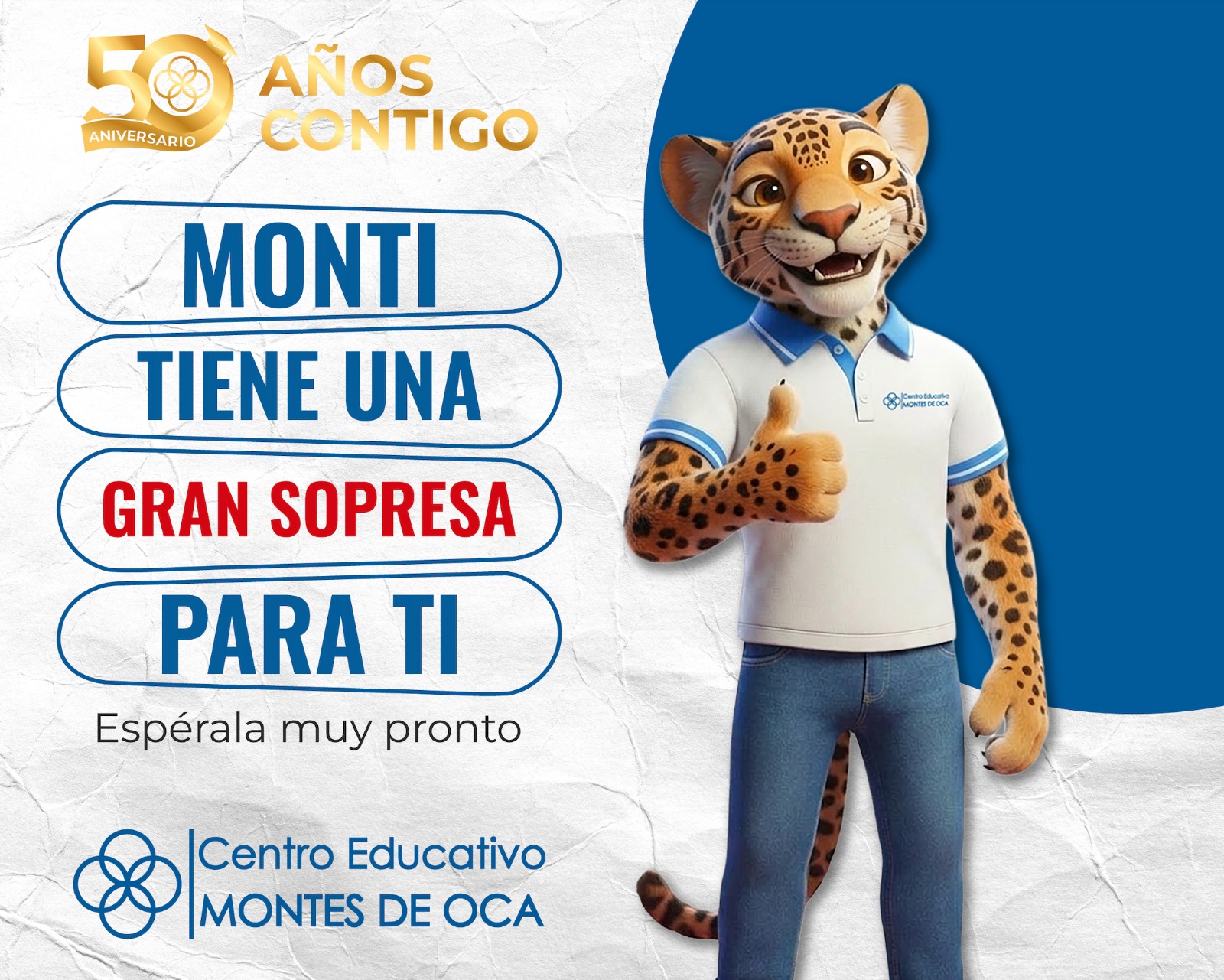 Actualizar