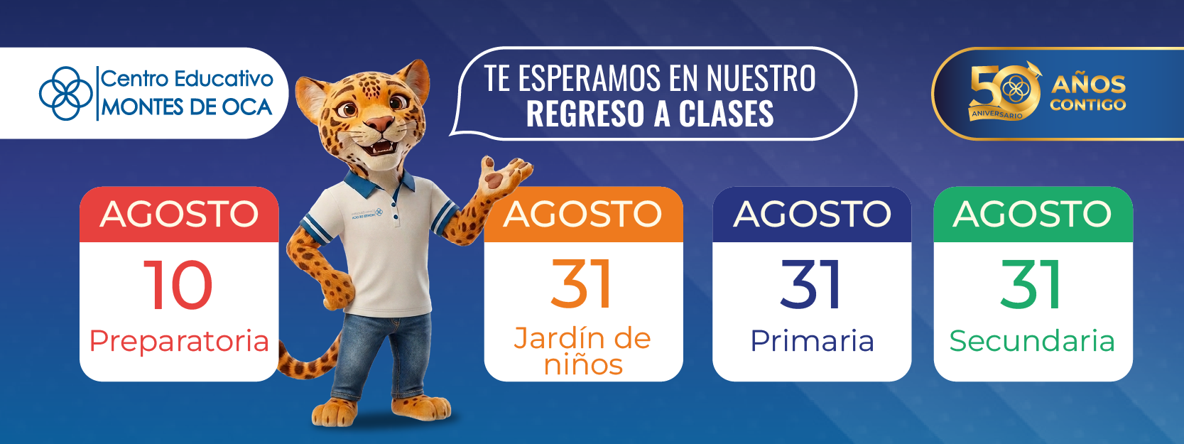 Actualizar